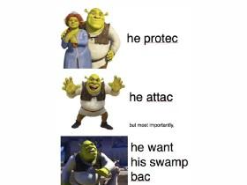 shrek memes 13 1 credit to