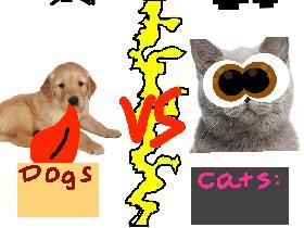 Dogs vs Cats!!🐈🐕 1