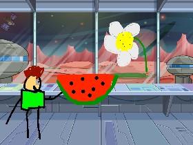 watermelon