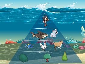 Ecological Pyramid 1