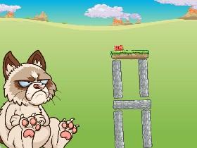 Grumpy Cat 1 1