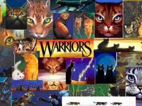 Warrior cat quiz series 1