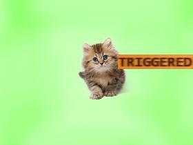 triggered kittie 1