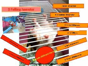 Fallining Hamster 1