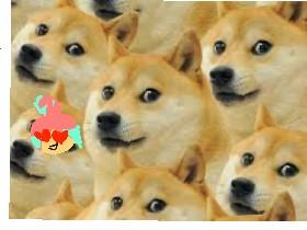 DOGE FAN CLUB!!