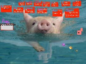 pig clicker hacked 