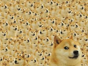 DOGE(Best Project EVER) 1