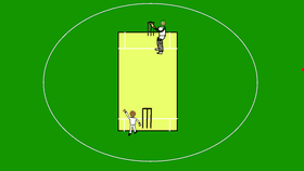 cricket 2