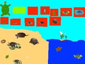 Turtle Clicker! 1