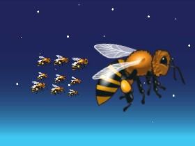 Bees cant fly in rain.