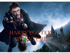 HARRY POTTER ADVENTURE 1