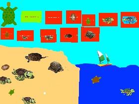 Turtle Clicker! 1