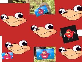 Ugandan Nuckles Spinning 1