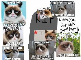 Grumpy Cat, R.I.P 1