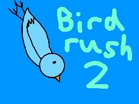 bird rush 2