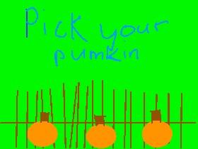 Pumpkin time