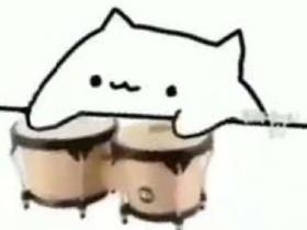 Bongo Cat Meme close up