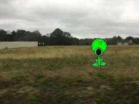 I Saw A Peashooter Outside