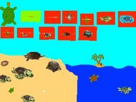 Turtle Clicker! 1 1