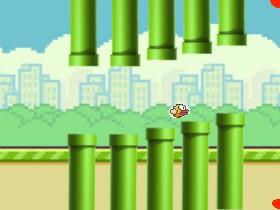 flappy bird 1