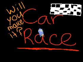 Car race