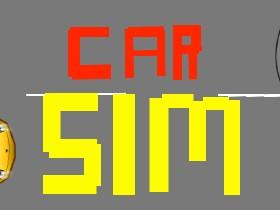 Car Sim RELEASED 1 1