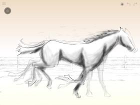 running horse 1