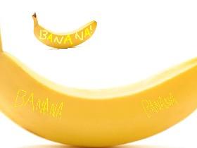 🍌🍌!BANANAS!🍌🍌