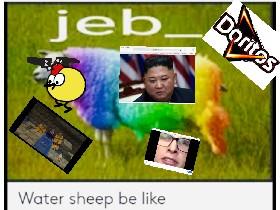 WATER SHEEP