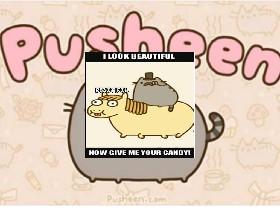 pusheen meme