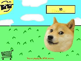 doge