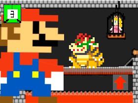 MARIO VS.BOWSER