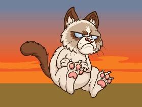 grumpy cat