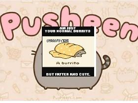 pusheen meme