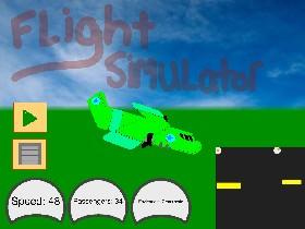 Flight Simulator 