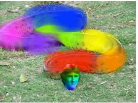 roygbiv snake