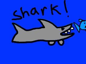 Shark! 1