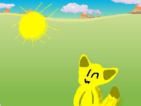 sun fox