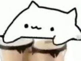 Bongo Cat Meme 1 1