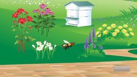 Bee Game