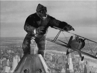 king kong quiz