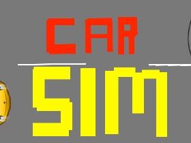 Car Sim RELEASED 1