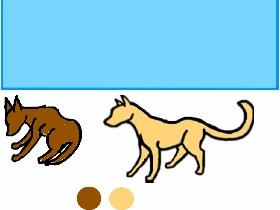 How I Draw Cats & Dogs 1