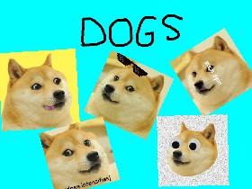 SHAKY DOGE 1 1