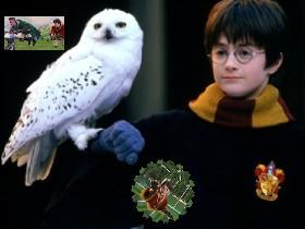 Harry Potter Qudditch Game