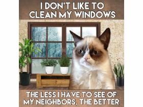 grumpy cat memes