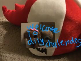 dialy challenges