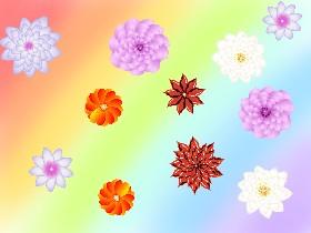 Flower Rainbow~