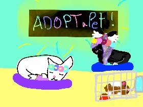 adopt a pet