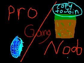 pro noob gang 